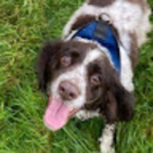 Meet your Posher, Sheila